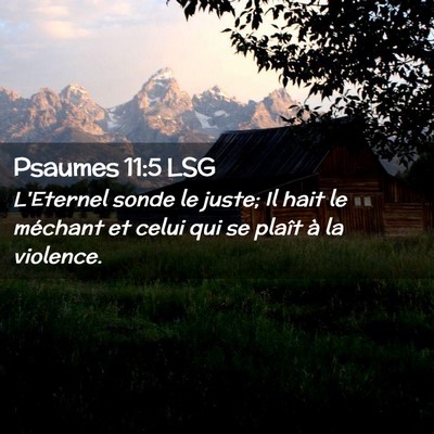 Picture 02 - Psaumes 11:5 LSG - L'Eternel sonde le juste; Il hait le méchant et - Bible Verse Picture