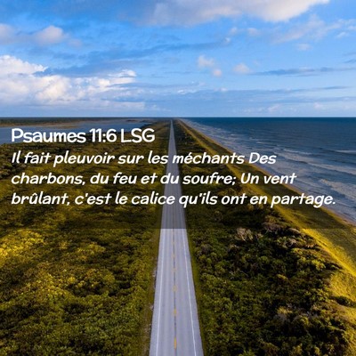 Picture 02 - Psaumes 11:6 LSG - Il fait pleuvoir sur les méchants Des charbons, - Bible Verse Picture