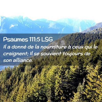 Picture 02 - Psaumes 111:5 LSG - Il a donné de la nourriture à ceux qui le - Bible Verse Picture