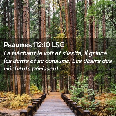 Picture 02 - Psaumes 112:10 LSG - Le méchant le voit et s'irrite, Il grince les - Bible Verse Picture