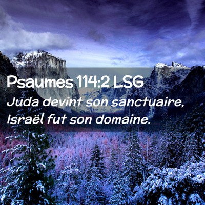 Picture 02 - Psaumes 114:2 LSG - Juda devint son sanctuaire, Israël fut son - Bible Verse Picture