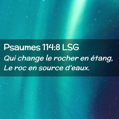 Picture 02 - Psaumes 114:8 LSG - Qui change le rocher en étang, Le roc en source - Bible Verse Picture