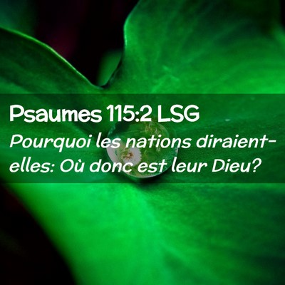 Picture 02 - Psaumes 115:2 LSG - Pourquoi les nations diraient-elles: Où donc est - Bible Verse Picture