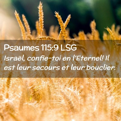 Picture 02 - Psaumes 115:9 LSG - Israël, confie-toi en l'Eternel! Il est leur - Bible Verse Picture