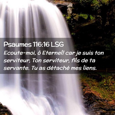 Picture 02 - Psaumes 116:16 LSG - Ecoute-moi, ô Eternel! car je suis ton - Bible Verse Picture