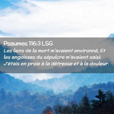 Picture 02 - Psaumes 116:3 LSG - Les liens de la mort m'avaient environné, Et les - Bible Verse Picture
