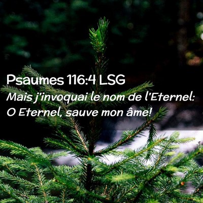 Picture 02 - Psaumes 116:4 LSG - Mais j'invoquai le nom de l'Eternel: O Eternel, - Bible Verse Picture