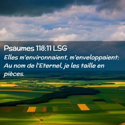 Picture 02 - Psaumes 118:11 LSG - Elles m'environnaient, m'enveloppaient: Au nom de - Bible Verse Picture