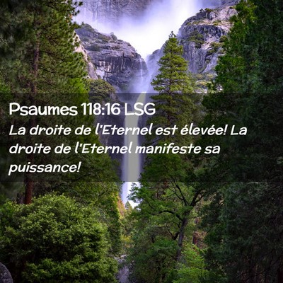 Picture 02 - Psaumes 118:16 LSG - La droite de l'Eternel est élevée! La droite de - Bible Verse Picture
