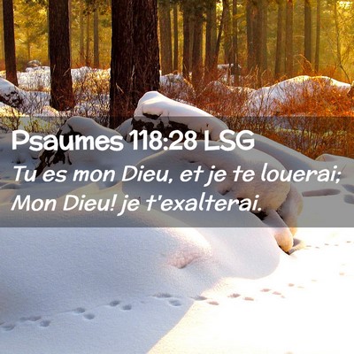 Picture 02 - Psaumes 118:28 LSG - Tu es mon Dieu, et je te louerai; Mon Dieu! je - Bible Verse Picture