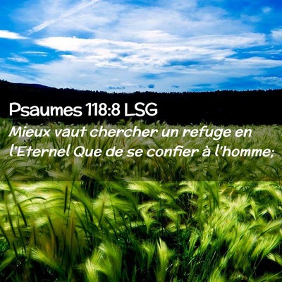 Picture 02 - Psaumes 118:8 LSG - Mieux vaut chercher un refuge en l'Eternel Que de - Bible Verse Picture