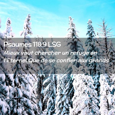 Picture 02 - Psaumes 118:9 LSG - Mieux vaut chercher un refuge en l'Eternel Que de - Bible Verse Picture