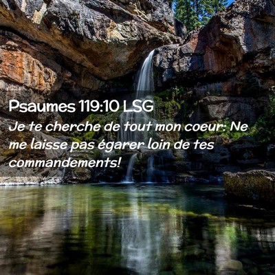 Picture 02 - Psaumes 119:10 LSG - Je te cherche de tout mon coeur: Ne me laisse pas - Bible Verse Picture