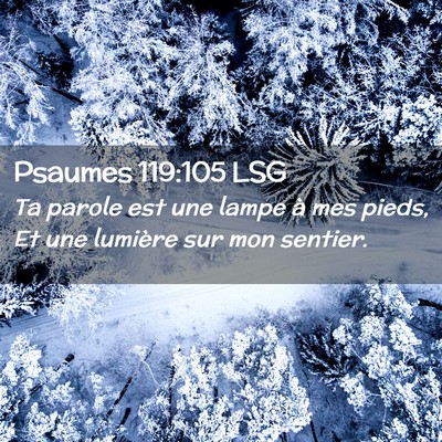 Picture 02 - Psaumes 119:105 LSG - Ta parole est une lampe à mes pieds, Et une - Bible Verse Picture