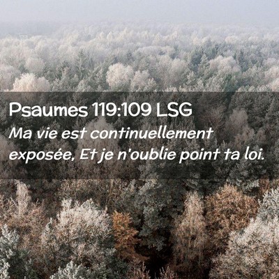 Picture 02 - Psaumes 119:109 LSG - Ma vie est continuellement exposée, Et je - Bible Verse Picture