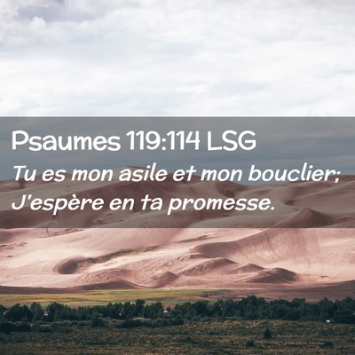 Picture 02 - Psaumes 119:114 LSG - Tu es mon asile et mon bouclier; J'espère en ta - Bible Verse Picture