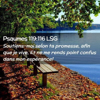 Picture 02 - Psaumes 119:116 LSG - Soutiens-moi selon ta promesse, afin que je vive, - Bible Verse Picture