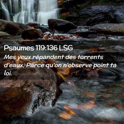Picture 02 - Psaumes 119:136 LSG - Mes yeux répandent des torrents d'eaux, Parce - Bible Verse Picture