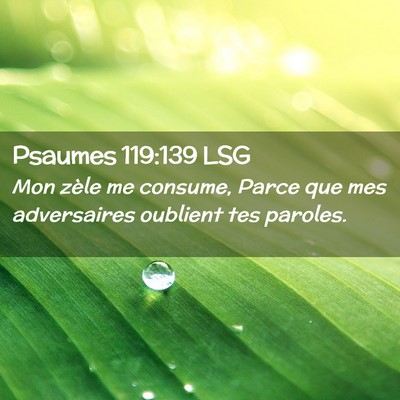 Picture 02 - Psaumes 119:139 LSG - Mon zèle me consume, Parce que mes adversaires - Bible Verse Picture