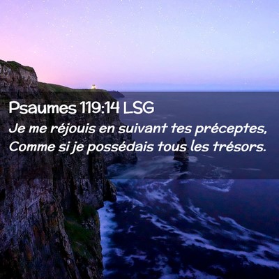 Picture 02 - Psaumes 119:14 LSG - Je me réjouis en suivant tes préceptes, Comme - Bible Verse Picture