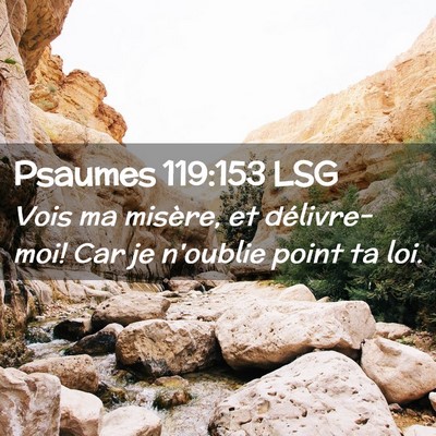 Picture 02 - Psaumes 119:153 LSG - Vois ma misère, et délivre-moi! Car je n'oublie - Bible Verse Picture