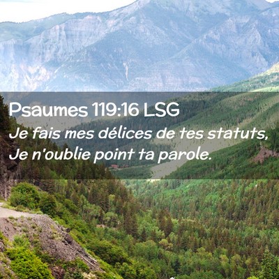 Picture 02 - Psaumes 119:16 LSG - Je fais mes délices de tes statuts, Je n'oublie - Bible Verse Picture