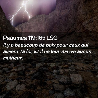 Picture 02 - Psaumes 119:165 LSG - Il y a beaucoup de paix pour ceux qui aiment ta - Bible Verse Picture