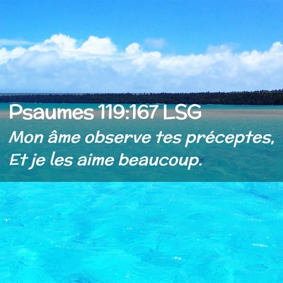 Picture 02 - Psaumes 119:167 LSG - Mon âme observe tes préceptes, Et je les aime - Bible Verse Picture