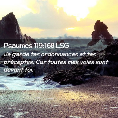 Picture 02 - Psaumes 119:168 LSG - Je garde tes ordonnances et tes préceptes, Car - Bible Verse Picture