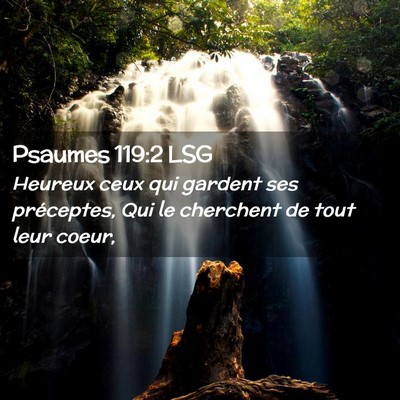 Picture 02 - Psaumes 119:2 LSG - Heureux ceux qui gardent ses préceptes, Qui le - Bible Verse Picture
