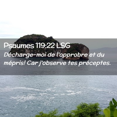 Picture 02 - Psaumes 119:22 LSG - Décharge-moi de l'opprobre et du mépris! Car - Bible Verse Picture