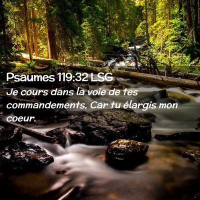 Picture 02 - Psaumes 119:32 LSG - Je cours dans la voie de tes commandements, Car - Bible Verse Picture