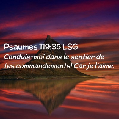 Picture 02 - Psaumes 119:35 LSG - Conduis-moi dans le sentier de tes commandements! - Bible Verse Picture