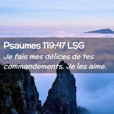 Picture 02 - Psaumes 119:47 LSG - Je fais mes délices de tes commandements. Je les - Bible Verse Picture