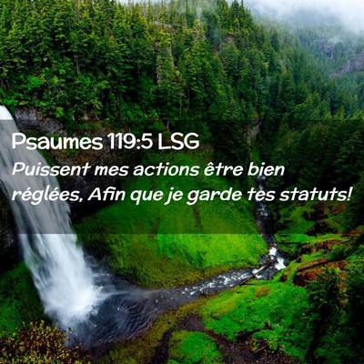 Picture 02 - Psaumes 119:5 LSG - Puissent mes actions être bien réglées, Afin - Bible Verse Picture