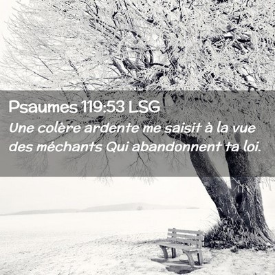 Picture 02 - Psaumes 119:53 LSG - Une colère ardente me saisit à la vue des - Bible Verse Picture