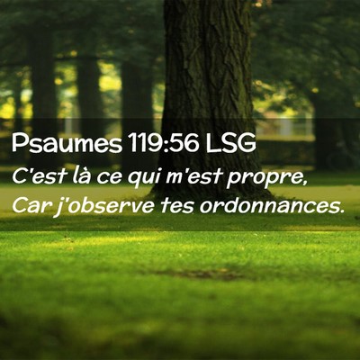Picture 02 - Psaumes 119:56 LSG - C'est là ce qui m'est propre, Car j'observe tes - Bible Verse Picture