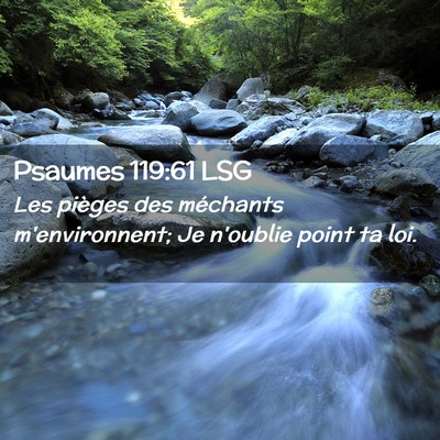 Picture 02 - Psaumes 119:61 LSG - Les pièges des méchants m'environnent; Je - Bible Verse Picture
