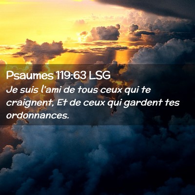 Picture 02 - Psaumes 119:63 LSG - Je suis l'ami de tous ceux qui te craignent, Et - Bible Verse Picture