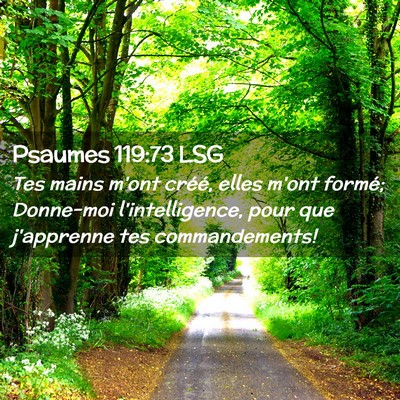 Picture 02 - Psaumes 119:73 LSG - Tes mains m'ont créé, elles m'ont formé; - Bible Verse Picture