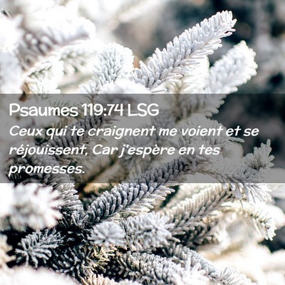 Picture 02 - Psaumes 119:74 LSG - Ceux qui te craignent me voient et se - Bible Verse Picture