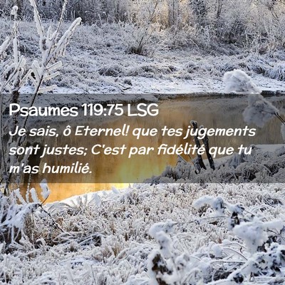Picture 02 - Psaumes 119:75 LSG - Je sais, ô Eternel! que tes jugements sont - Bible Verse Picture