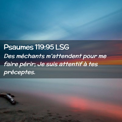 Picture 02 - Psaumes 119:95 LSG - Des méchants m'attendent pour me faire périr; - Bible Verse Picture