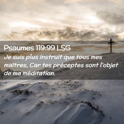 Picture 02 - Psaumes 119:99 LSG - Je suis plus instruit que tous mes maîtres, Car - Bible Verse Picture