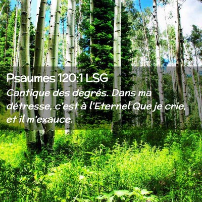 Picture 02 - Psaumes 120:1 LSG - Cantique des degrés. Dans ma détresse, c'est à - Bible Verse Picture