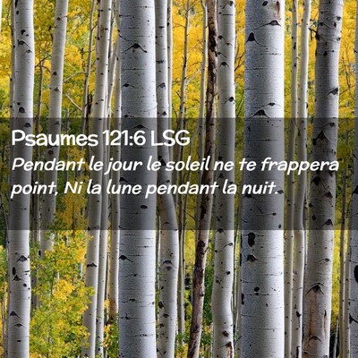 Picture 02 - Psaumes 121:6 LSG - Pendant le jour le soleil ne te frappera point, - Bible Verse Picture