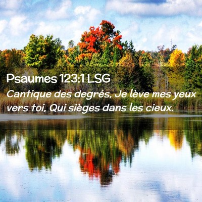 Picture 02 - Psaumes 123:1 LSG - Cantique des degrés, Je lève mes yeux vers toi, - Bible Verse Picture
