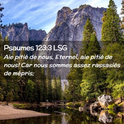 Picture 02 - Psaumes 123:3 LSG - Aie pitié de nous, Eternel, aie pitié de nous! - Bible Verse Picture