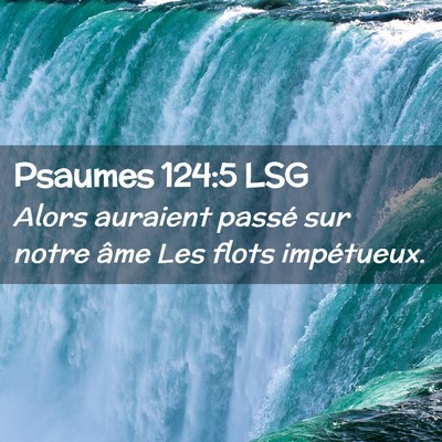 Picture 02 - Psaumes 124:5 LSG - Alors auraient passé sur notre âme Les flots - Bible Verse Picture
