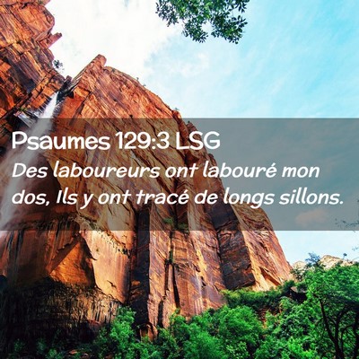 Picture 02 - Psaumes 129:3 LSG - Des laboureurs ont labouré mon dos, Ils y ont - Bible Verse Picture